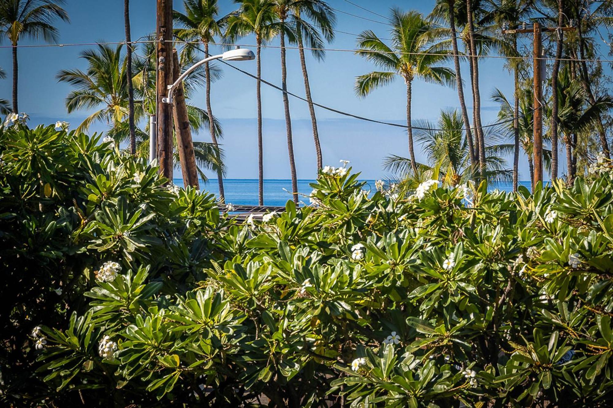 基黑Maui Vista 1210公寓 外观 照片