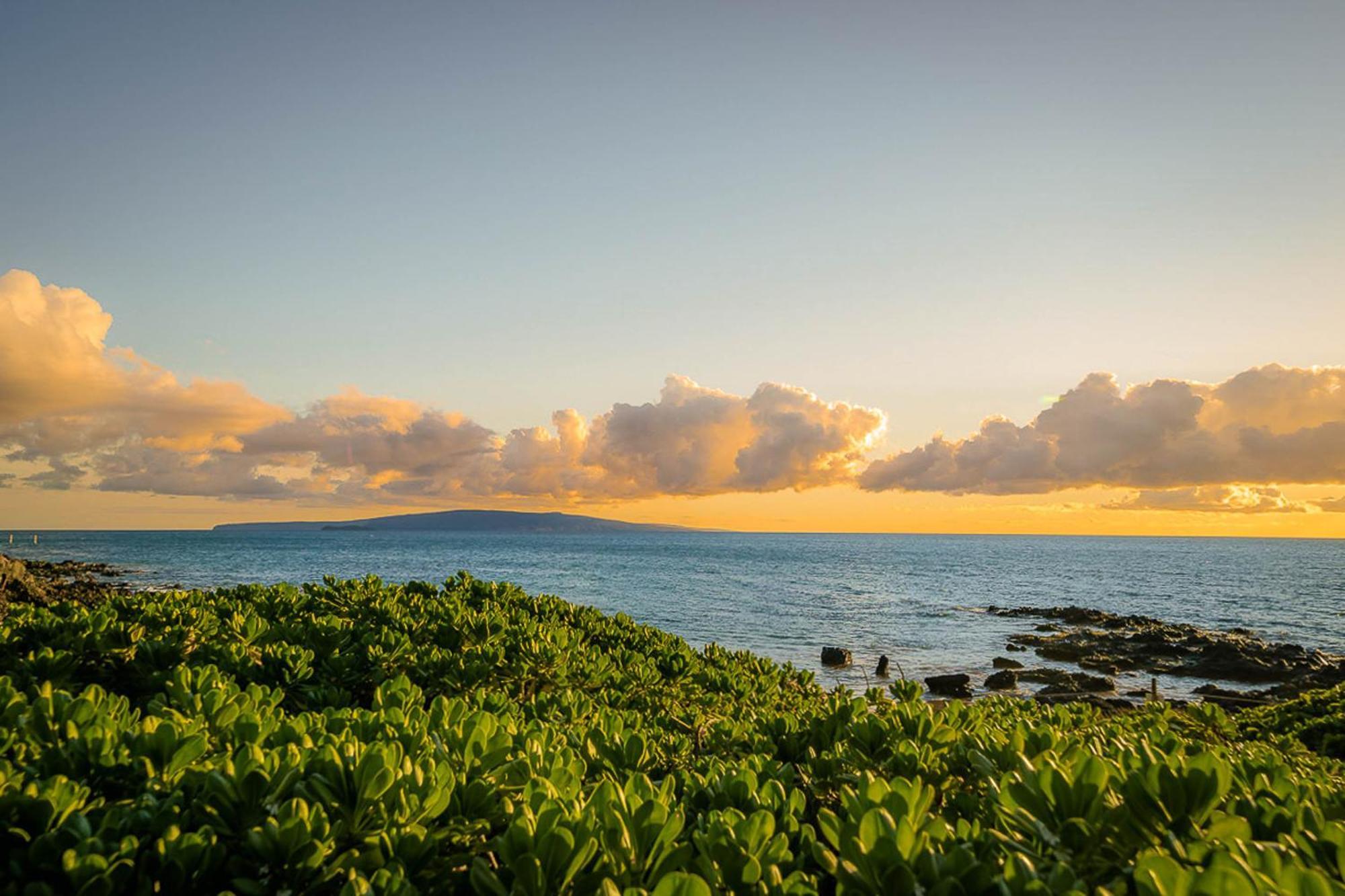 基黑Maui Vista 1210公寓 外观 照片